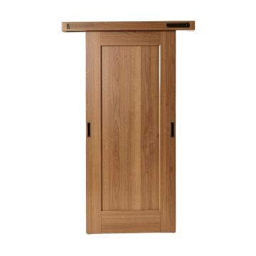 Paneled Manufactured Wood Trident Sliding Closet Door