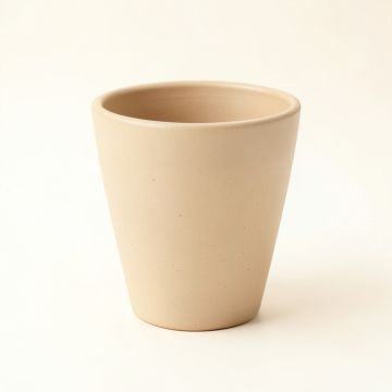 Birch Bluff Empty Planter - Beige (synthetic illustration; no displayed measurements)