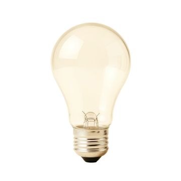175W Light Bulb