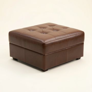 48 '' Tufted Rectangle Standard Ottoman (synthetic illustration; no displayed measurements)