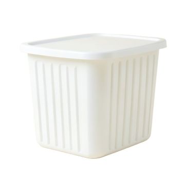 Willow Branch Laundry Hamper - White