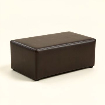 Sperling Faux Leather Storage Bench (synthetic illustration; no displayed measurements)