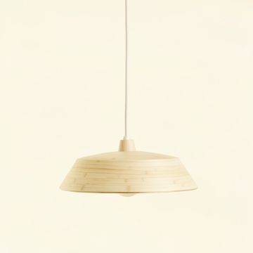 Sage Crest Pendant Light Suspended From One Plain Cable - Ivory (synthetic illustration; no displayed measurements)