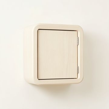 Aspen Bluff Wall-Mounted Entry Cabinet - Ivory (synthetic illustration; no displayed measurements)