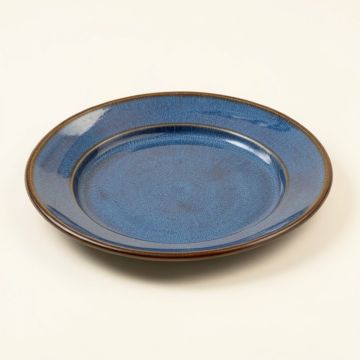 Hiltner Seashell Platter (synthetic illustration; no displayed measurements)