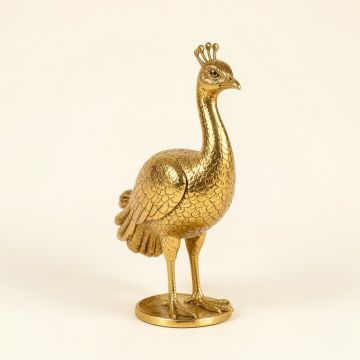 Youngstown Peacock (synthetic illustration; no displayed measurements)