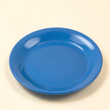Kalkaska 9 '' Melamine Salad Plate (synthetic illustration; no displayed measurements)
