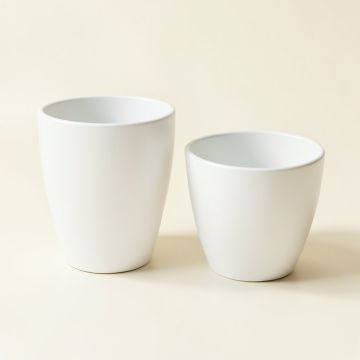 Mesut 2-Piece Mgo Pot Planter Set (synthetic illustration; no displayed measurements)