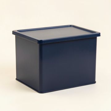 Flint Bridge Closed Outdoor Storage Box - Navy (synthetic illustration; no displayed measurements)