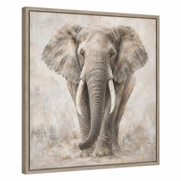 Elephant Framed Graphic Art