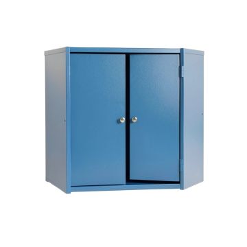 Briar Brook Wall-Mounted Laundry Cabinet - Blue (synthetic illustration; no displayed measurements)