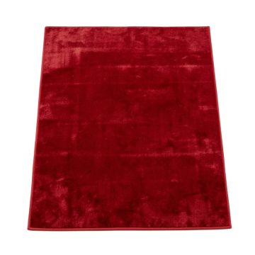 Donnal Ombre Red Area Rug