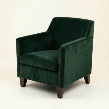 Cesar Upholstered Arm Chair (synthetic illustration; no displayed measurements)