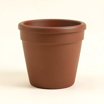 Elonga Resin Pot Planter (synthetic illustration; no displayed measurements)
