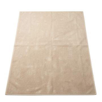 Wren Bluff Rectangular Area Rug - Beige
