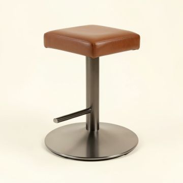 Carnalbanagh Adjustable Height Swivel Bar Stool (synthetic illustration; no displayed measurements)