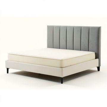 Troutdale Tufted Upholstered Low Profile Standard Bed (synthetic illustration; no displayed measurements)