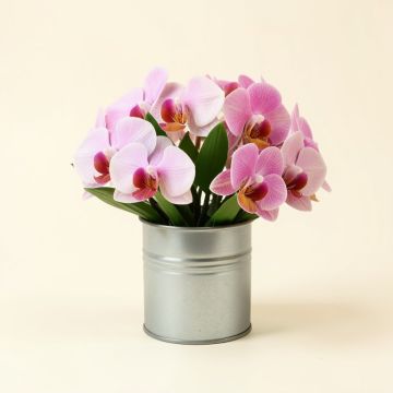 Orchid Floral Arrangement\Tin Pot (synthetic illustration; no displayed measurements)