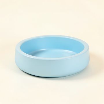 Large Automatic Water Dish (synthetic illustration; no displayed measurements)
