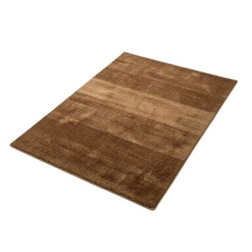 Tollette Brown Rug