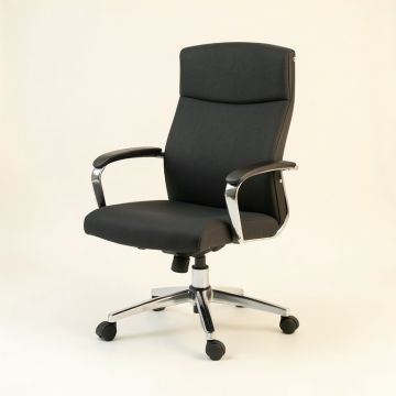 Adalaina Executive Chair (synthetic illustration; no displayed measurements)