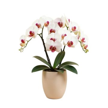 Phalaenopsis Artificial Orchids Floral Arrangement In Vase