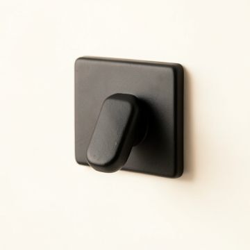 Briar Arc Wall-Mounted Robe Hook (synthetic illustration; no displayed measurements)