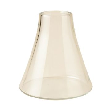 5 '' H Glass Bell Lamp Shade ( Screw On )