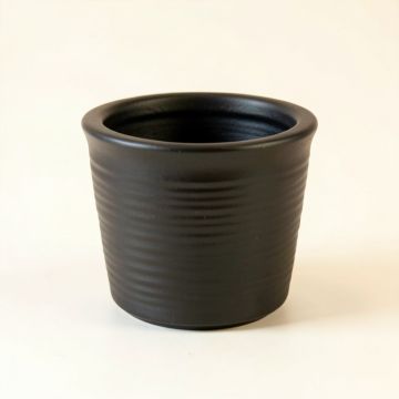 Maple Branch Empty Planter - Black (synthetic illustration; no displayed measurements)