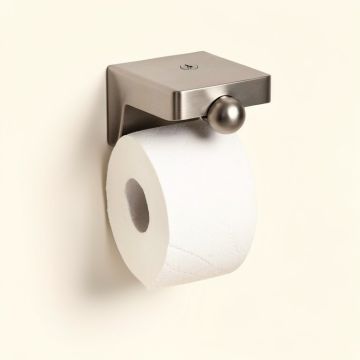 Vale Wall Mounted Pivoting Toilet Paper Holder (synthetic illustration; no displayed measurements)