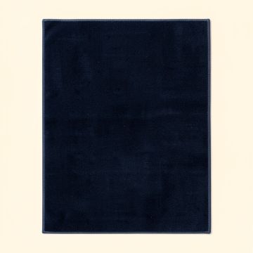 Hillsby Garnet/Navy Area Rug (synthetic illustration; no displayed measurements)