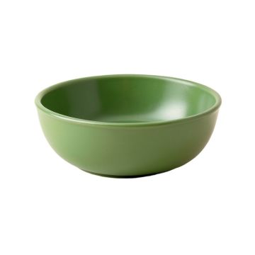 Holly Branch Dining Bowl - Green