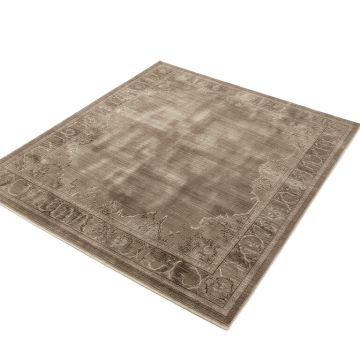 Asheville Oriental Taupe Area Rug