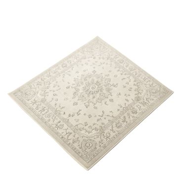 Katie Oriental Silver/Ivory Area Rug (synthetic illustration; no displayed measurements)