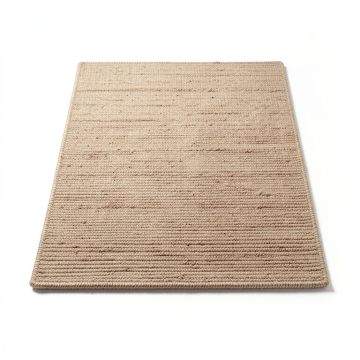 Waldenburg Flatweave Jute/Sisal Beige Area Rug (synthetic illustration; no displayed measurements)