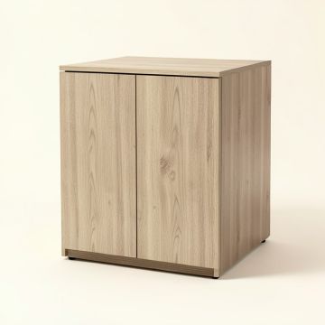 Jaylin Storage Cabinet (synthetic illustration; no displayed measurements)