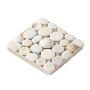 Shore 1 '' X 1 '' Seashell Random Mosaic Tile