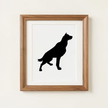 `` Zen & Rock '' By Philippe Hugonnard Framed Photographic Print (synthetic illustration; no displayed measurements)