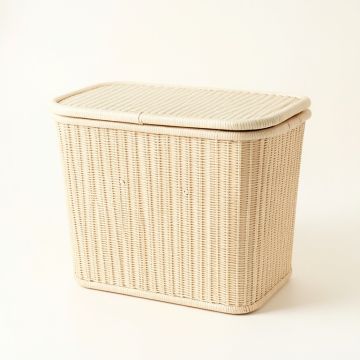 Dawn Crossing Laundry Hamper - Ivory (synthetic illustration; no displayed measurements)