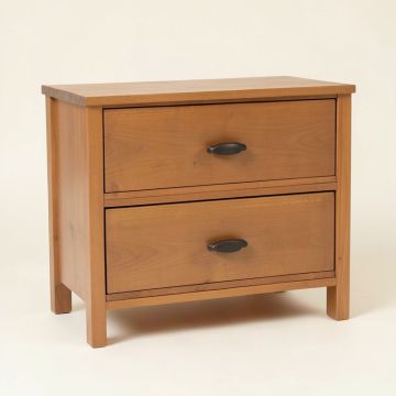 Geneva 2 Drawer Accent Chest (synthetic illustration; no displayed measurements)