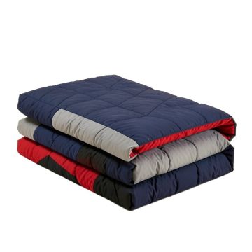 Mcdougald Printed Reversible Quilt Set