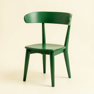 Sage Brook Dining Chair - Green (synthetic illustration; no displayed measurements)