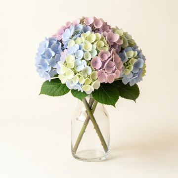 Hydrangea Flower Arrangement In Glass Vase (synthetic illustration; no displayed measurements)