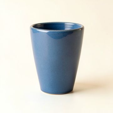 Fern Bend Empty Planter - Blue (synthetic illustration; no displayed measurements)