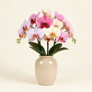 Orchid Floral Arrangement In Vase (synthetic illustration; no displayed measurements)