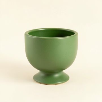 Reed Branch Empty Candle Holder - Green (synthetic illustration; no displayed measurements)