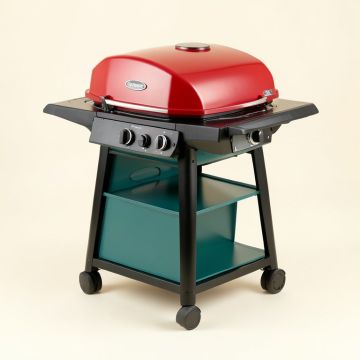 Kenmore 3-Burner Propane Gas Grill With Side Shelves (synthetic illustration; no displayed measurements)