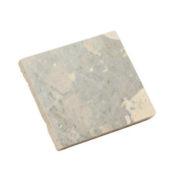 Penny 0.8 '' X 0.8 '' Porcelain Mosaic Tile