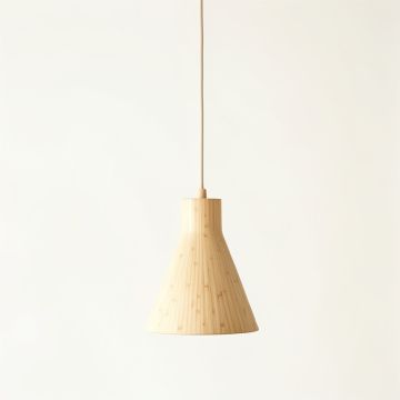 Olive Crest Pendant Light Suspended From One Plain Cable - Beige (synthetic illustration; no displayed measurements)