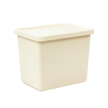 Rowan Branch Closed Outdoor Storage Box - Cream (synthetic illustration; no displayed measurements)